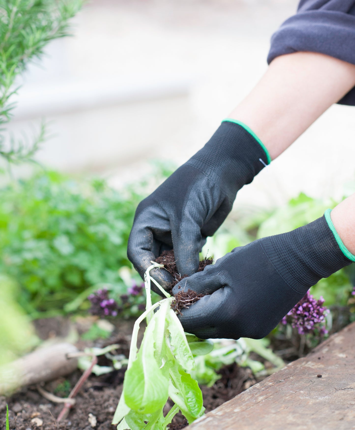 Easy Fit Gardening Gloves