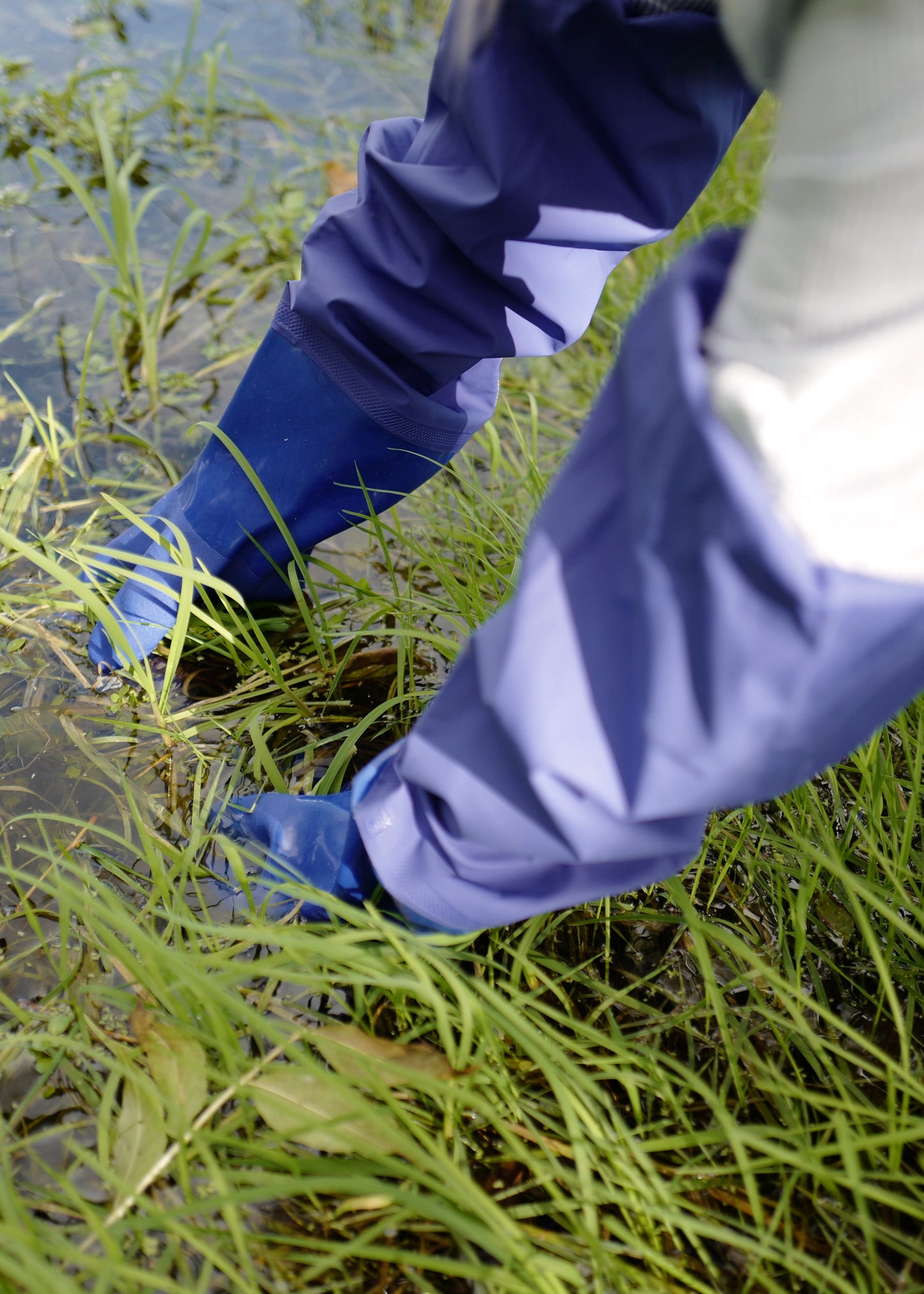 Pond Gloves